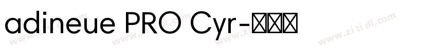 adineue PRO Cyr字体转换